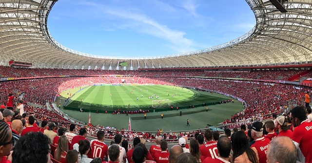 他们必须学