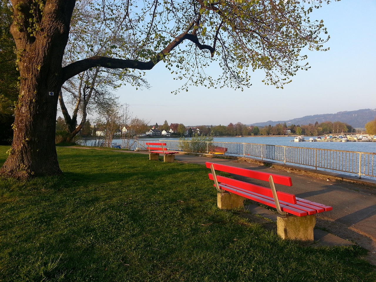 在冰雪赛道 在冰雪赛道
