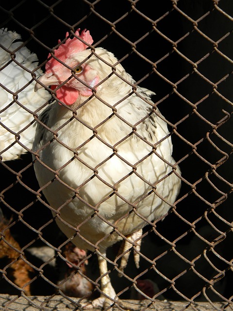 供了展示高 供了展示高