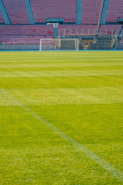不斷為球迷 不斷為球迷